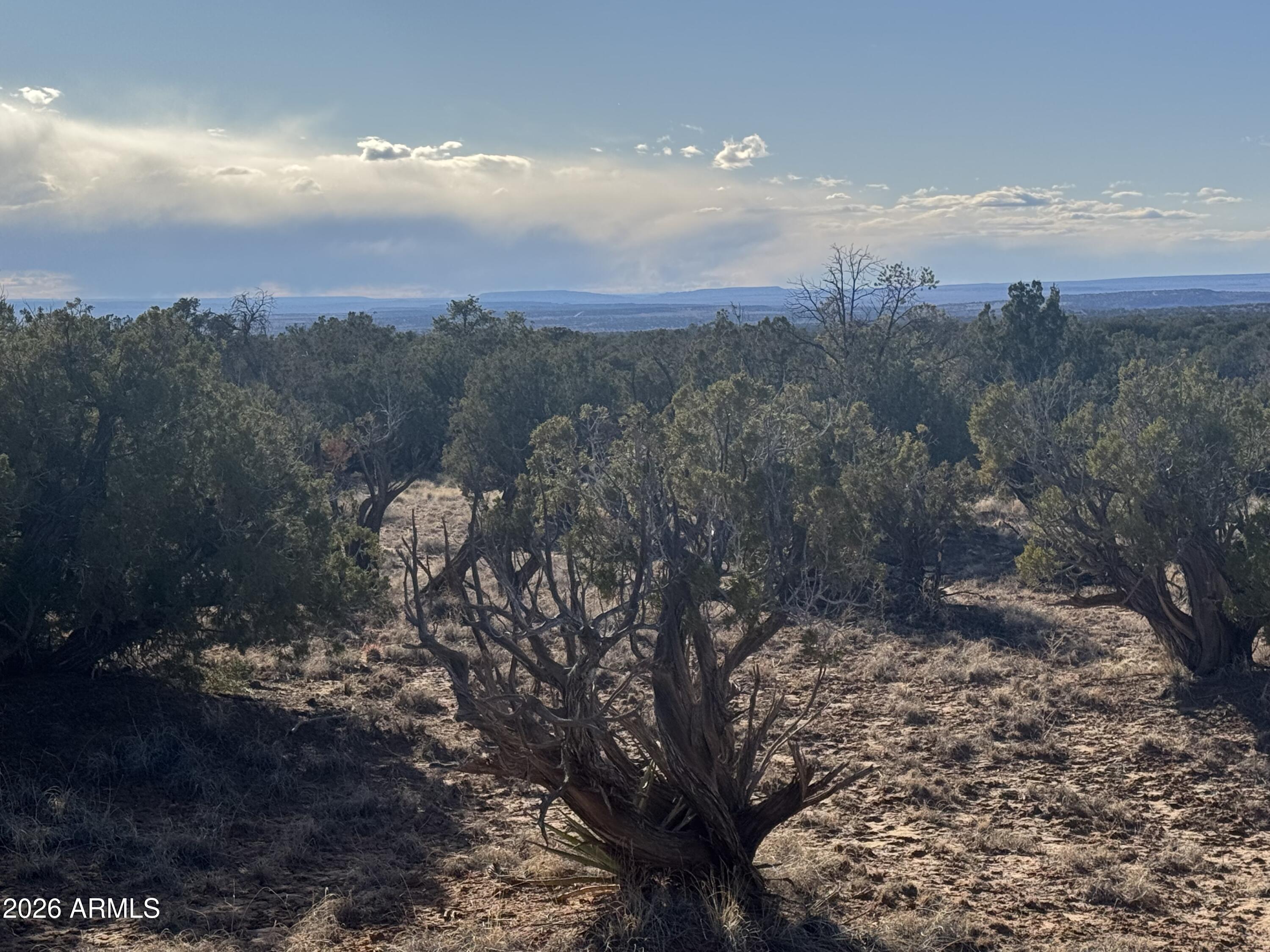 Lot 93 Red Sky Ranch, Unit 93 St. Johns, AZ 85936 - Photo 4 of 15 a view of a city with lots of trees