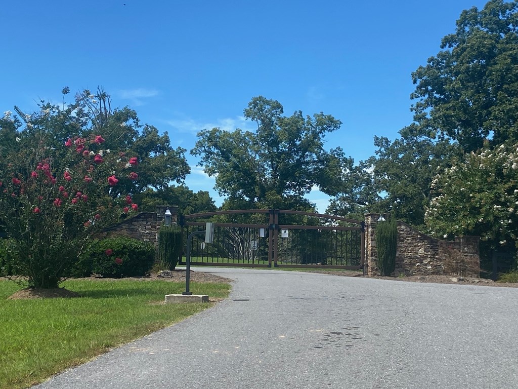 Lot 89 River Mountain Road Murphy, NC 28906 - Photo 3 of 17 a view of a park with large trees