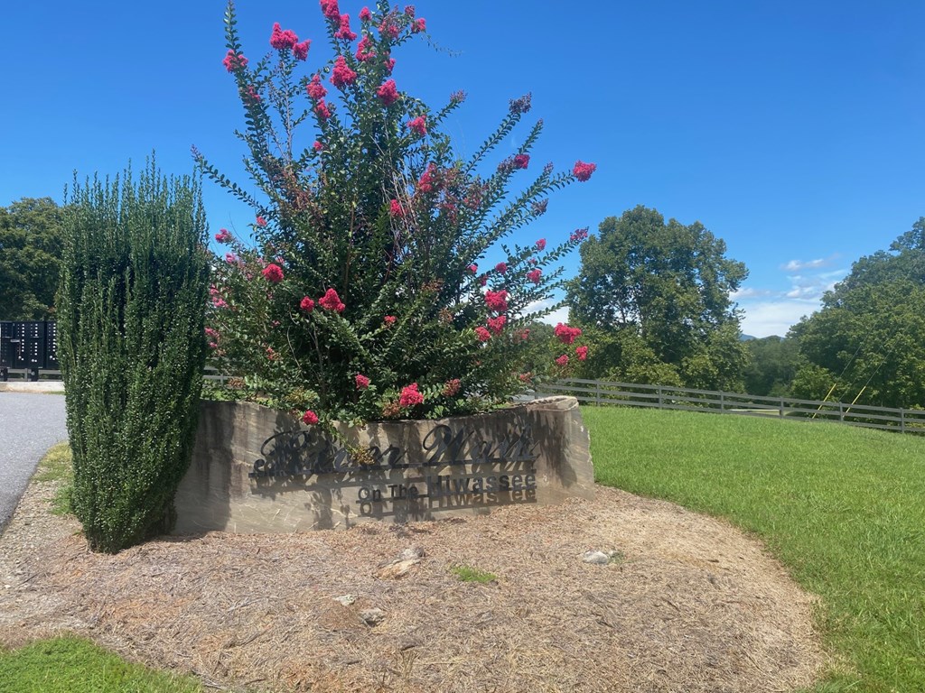 Lot 89 River Mountain Road Murphy, NC 28906 - Photo 4 of 17 a backyard of a house with lots of green space