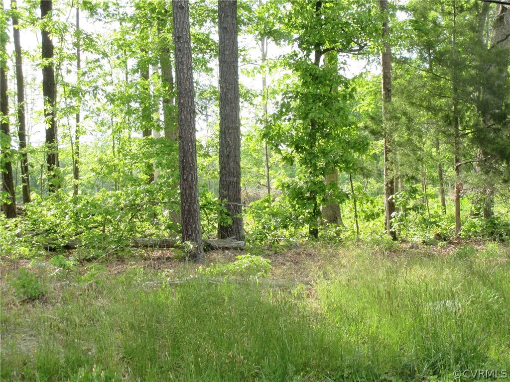 a view of outdoor space and trees