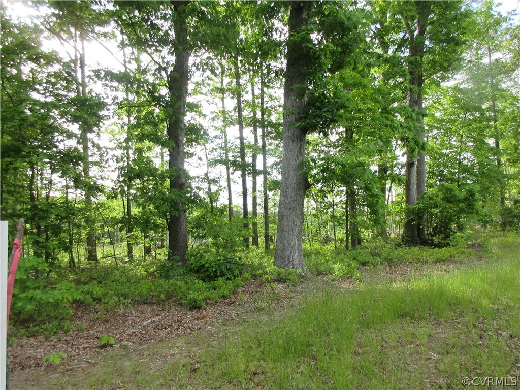 11450 Taylor Road Chesterfield, VA 23838 - Photo 4 of 10 a view of a lush green forest