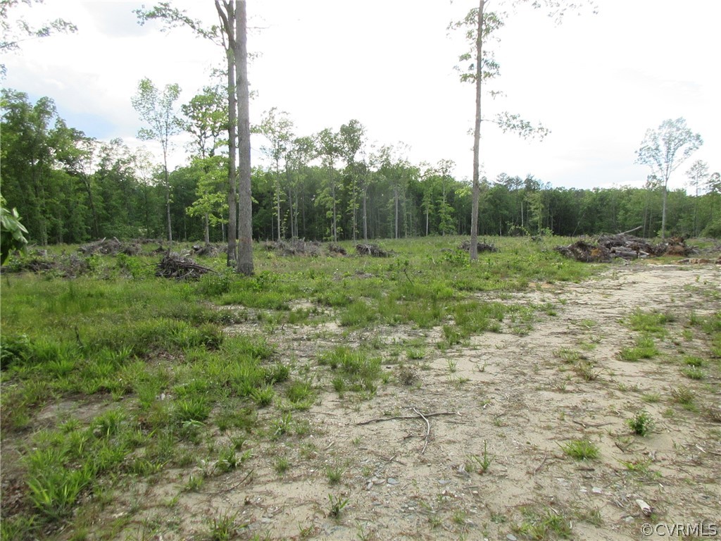 11450 Taylor Road Chesterfield, VA 23838 - Photo 6 of 10 a view of a green field with lots of bushes