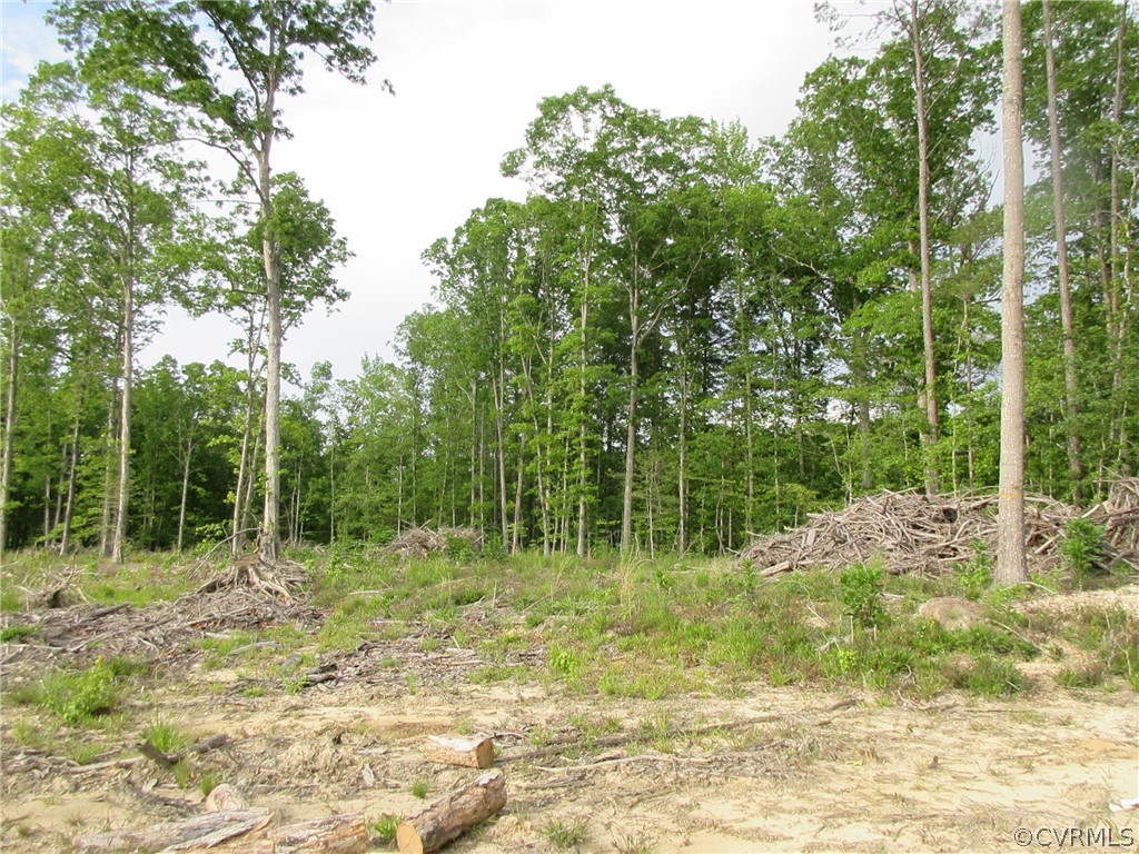 11450 Taylor Road Chesterfield, VA 23838 - Photo 8 of 10 a view of outdoor space with trees all around