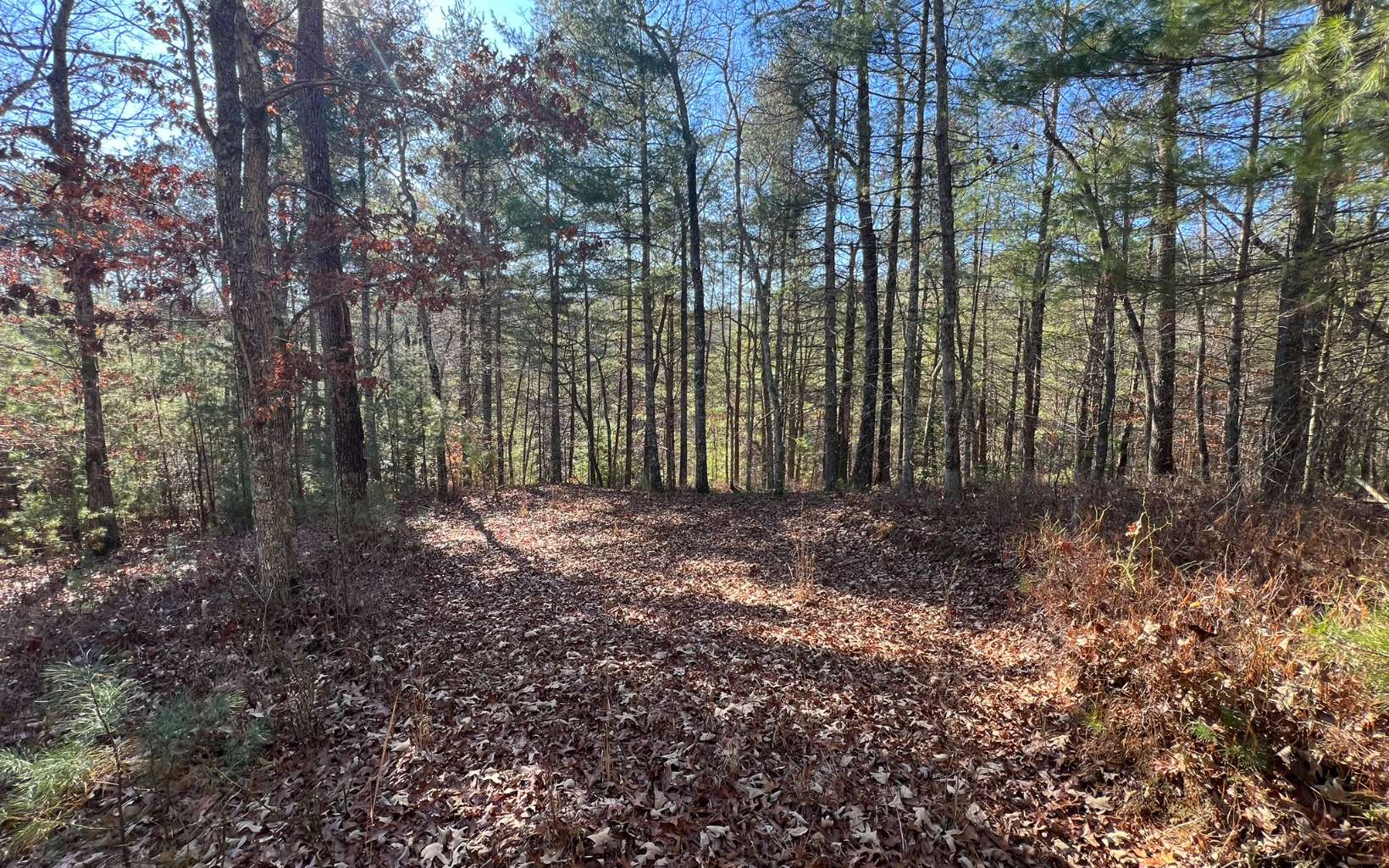 Tbd Tbd Adventure Ranch Road Murphy, NC 28906 - Photo 11 of 16 Additional View