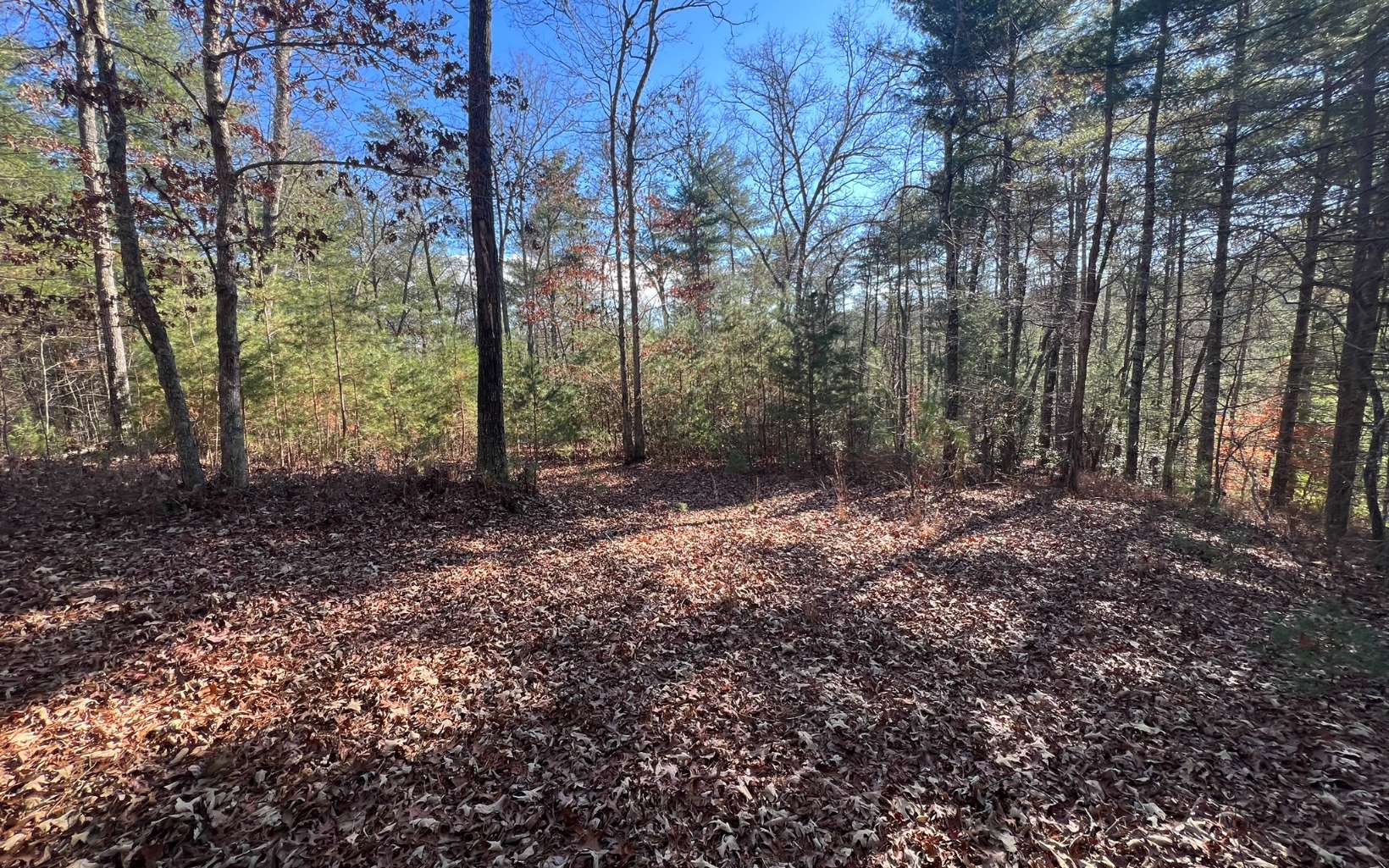 Tbd Tbd Adventure Ranch Road Murphy, NC 28906 - Photo 12 of 16 Additional View