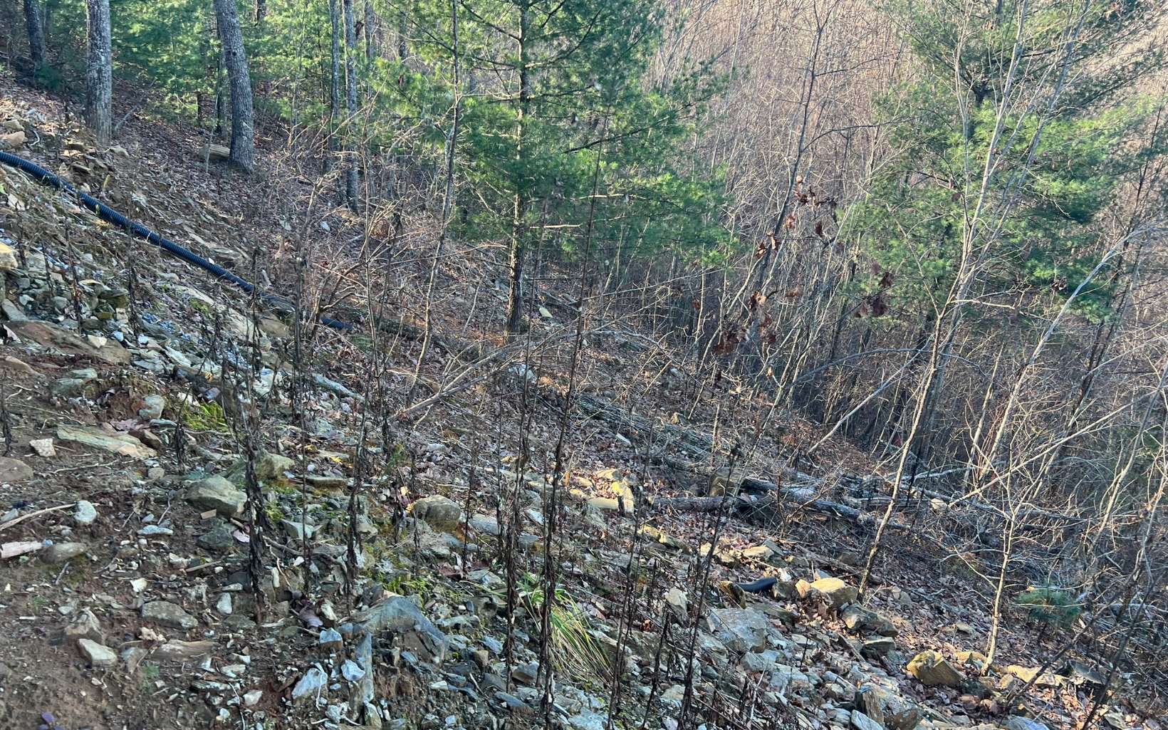 Tbd Tbd Adventure Ranch Road Murphy, NC 28906 - Photo 14 of 16 Additional View