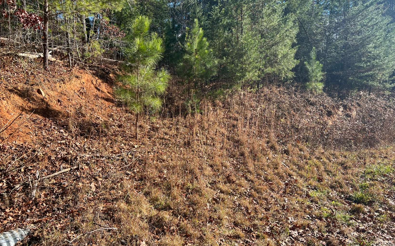Tbd Tbd Adventure Ranch Road Murphy, NC 28906 - Photo 3 of 16 Additional View