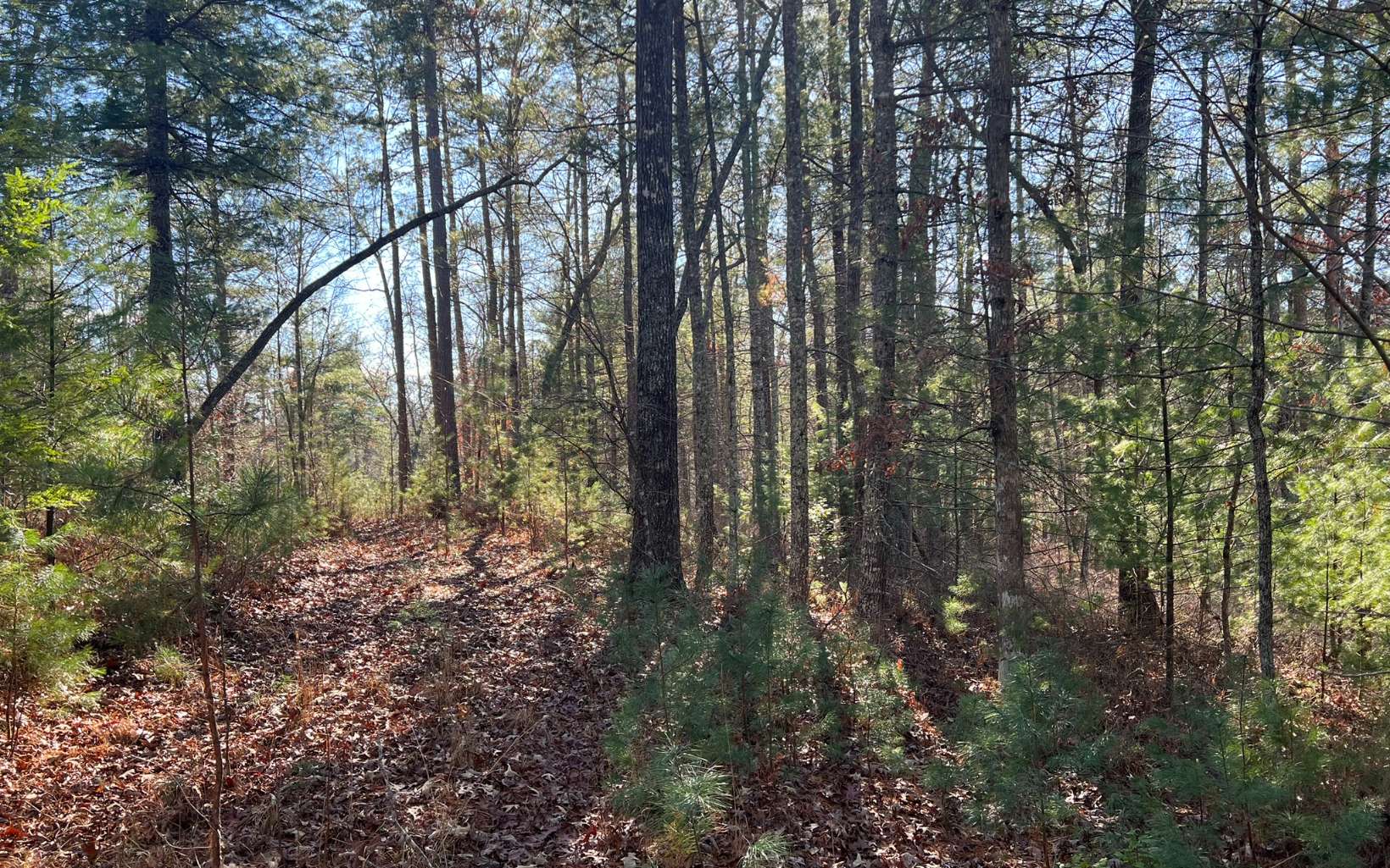 Tbd Tbd Adventure Ranch Road Murphy, NC 28906 - Photo 6 of 16 Additional View