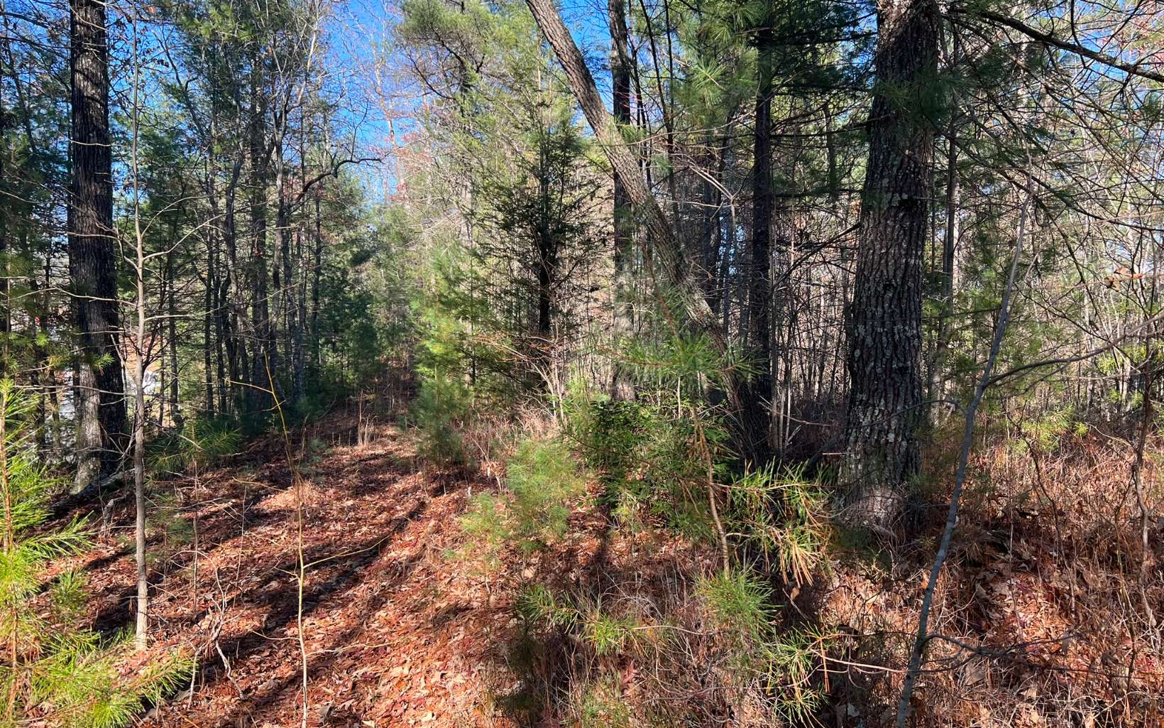 Tbd Tbd Adventure Ranch Road Murphy, NC 28906 - Photo 7 of 16 Additional View