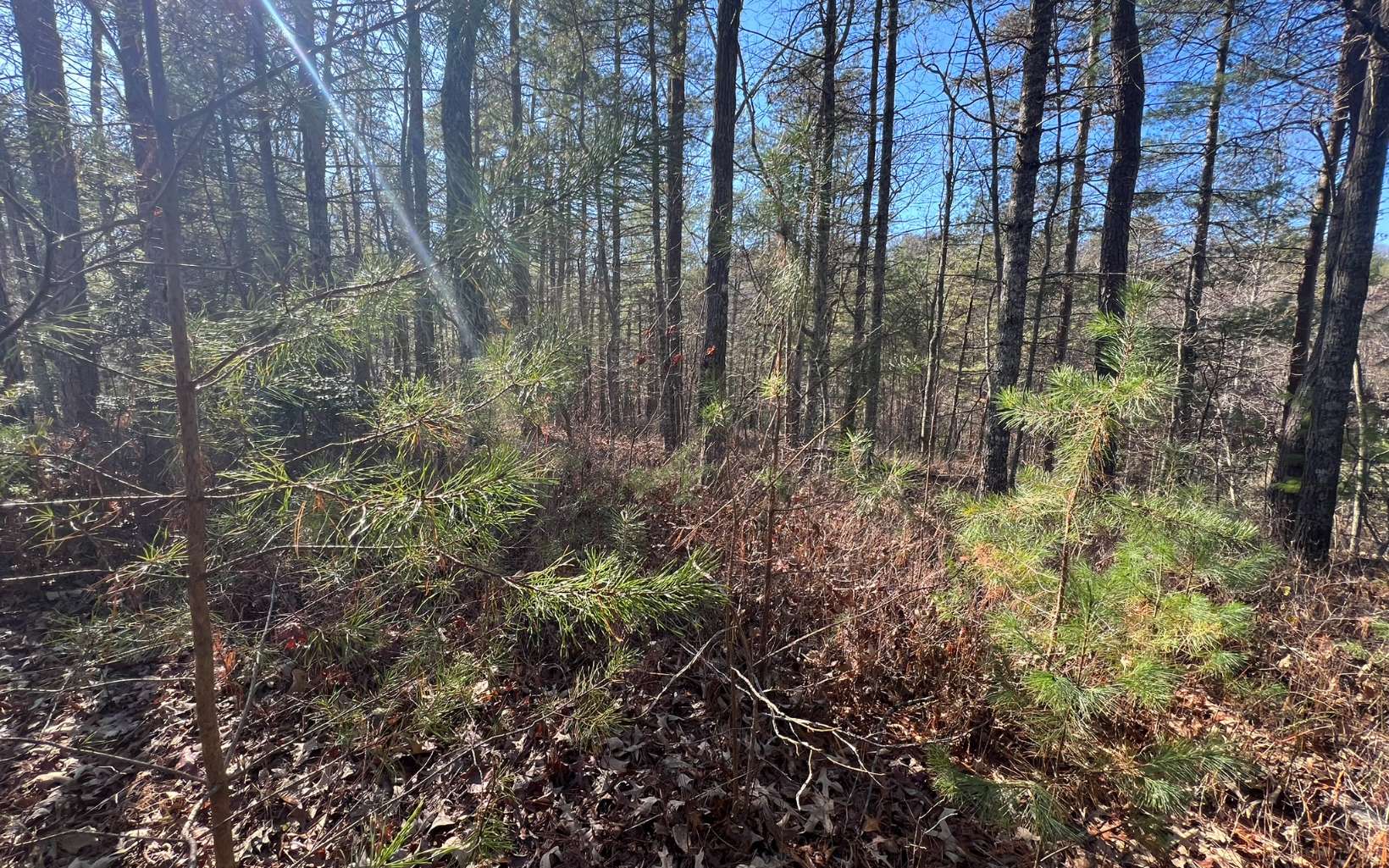 Tbd Tbd Adventure Ranch Road Murphy, NC 28906 - Photo 10 of 16 Additional View