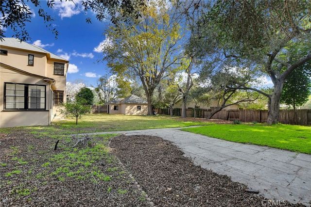 a view of road with large trees