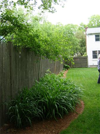 23 Black Pond Road Mansfield, MA 02048 - Photo 19 of 27 Gallery Image 19