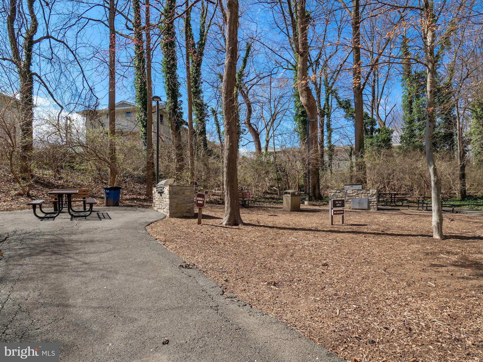 5225 Pooks Hill Road, Unit 422N Bethesda, MD 20814 - Photo 45 of 67 Picnic Area w/ grills