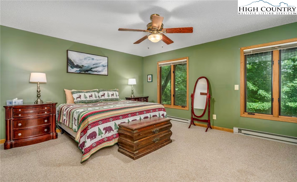 101 Doe Lane Beech Mountain, NC 28604 - Photo 20 of 31