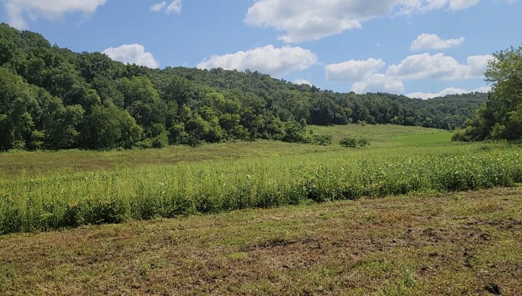 4795 County Rd C Wyoming, WI 53588 - Photo 82 of 82 Valley