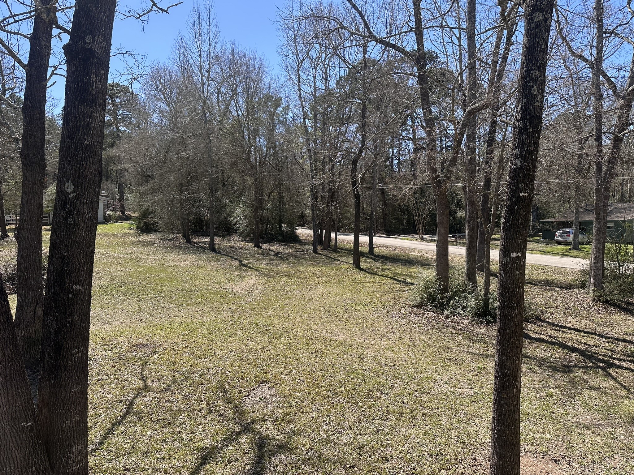 13868 Cedar Hill Road Montgomery, TX 77356 - Photo 19 of 19 a view of outdoor space with trees