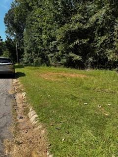 52 Springvalley Circle Stockbridge, GA 30281 - Photo 3 of 5