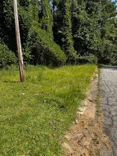 52 Springvalley Circle Stockbridge, GA 30281 - Photo 4 of 5