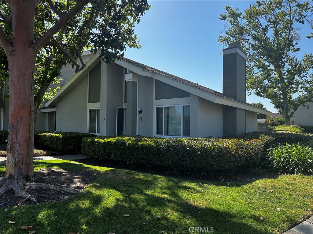 a view of backyard with potted plants and large tree