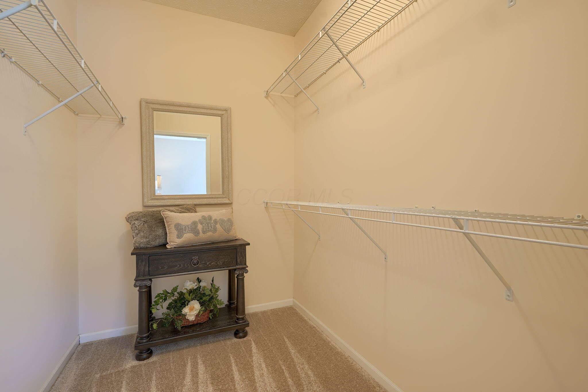 3717 Stoneway Point Powell, OH 43065 - Photo 26 of 44 Walk in closet