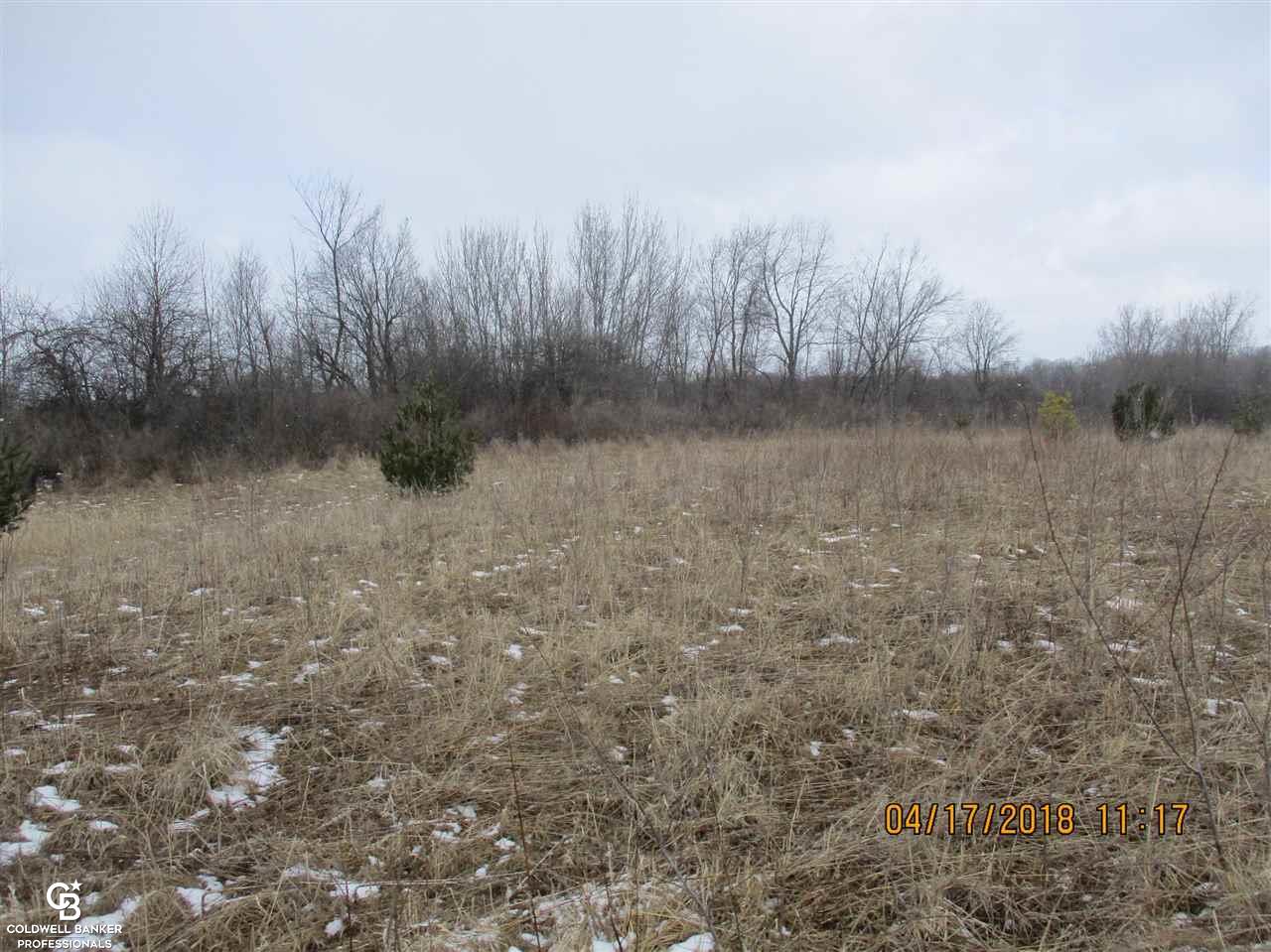 0 Arendt Road Yale, MI 48097 - Photo 5 of 11