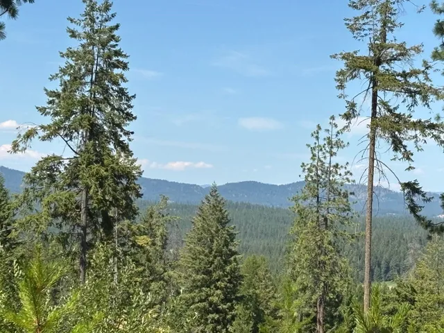 $120,000 | 34711 North Waldrons Lane, Unit 49311 9012, Chattaroy, WA 99003