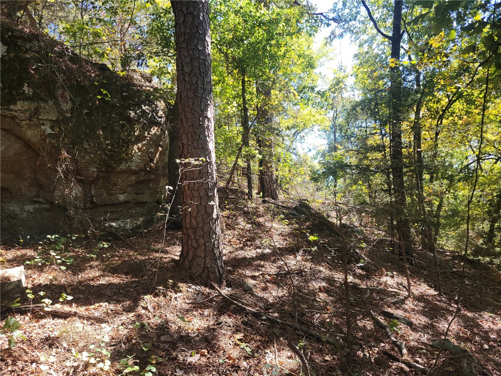2704 Private Road London, AR 72847 - Photo 5 of 19 Gallery Image 5