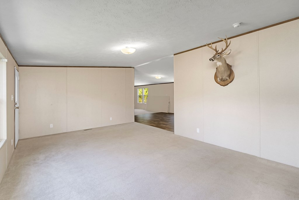 382 State Rd S-38-674 Neeses, SC 29107 - Photo 5 of 27 Photo 5