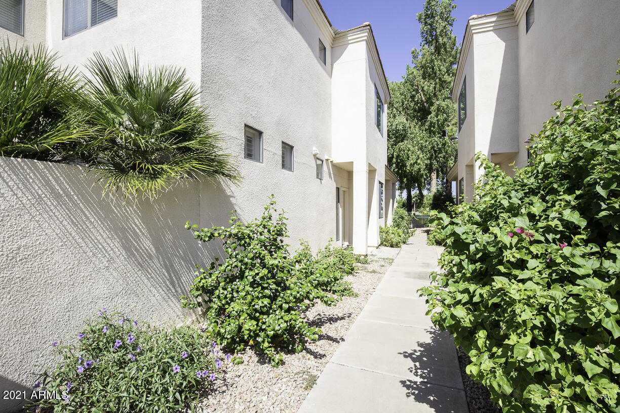 8270 North Hayden Road, Unit 2019 Scottsdale, AZ 85258 - Photo 25 of 39 a view of a backyard with plants