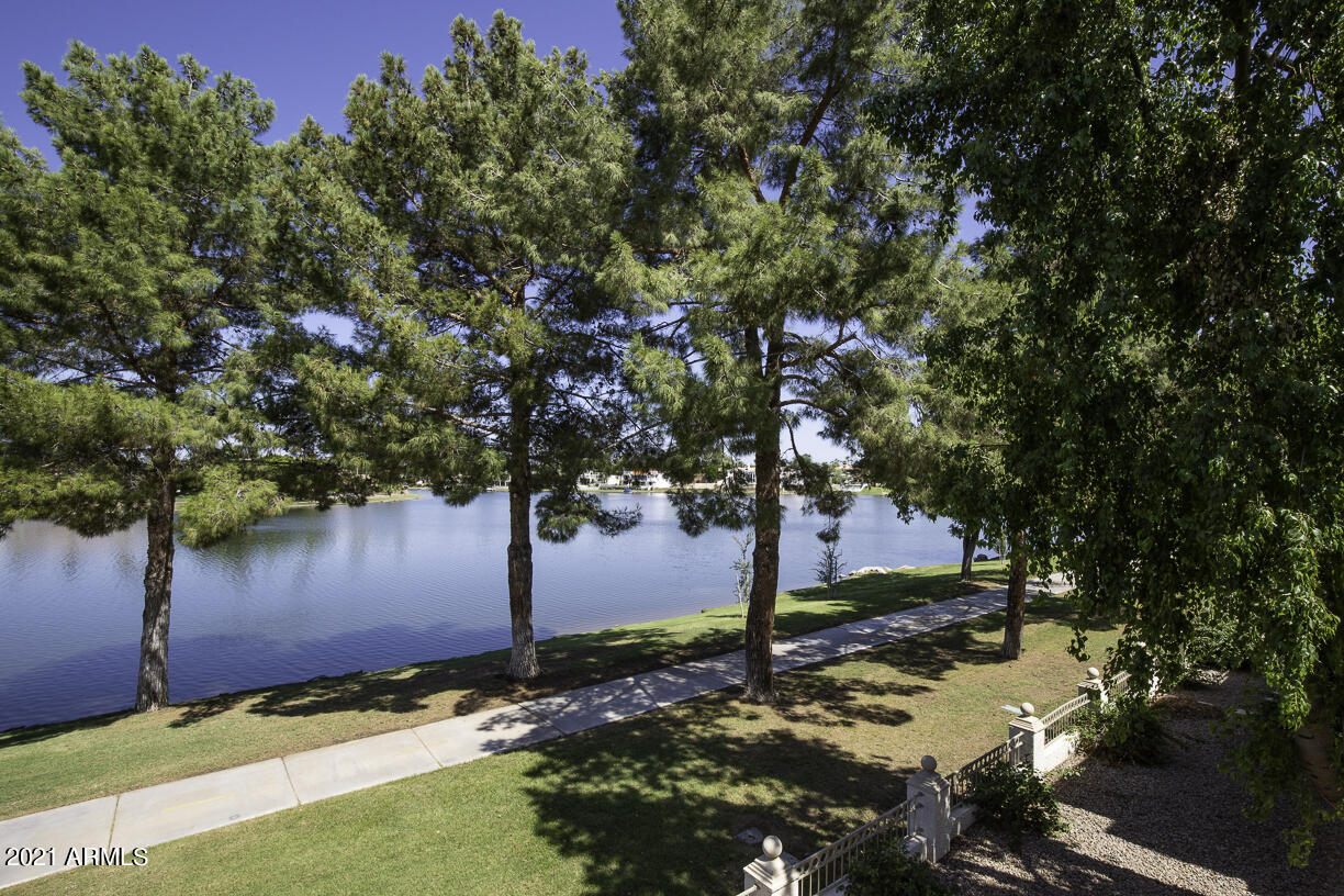 8270 North Hayden Road, Unit 2019 Scottsdale, AZ 85258 - Photo 33 of 39 a view of a tree in front of a tree