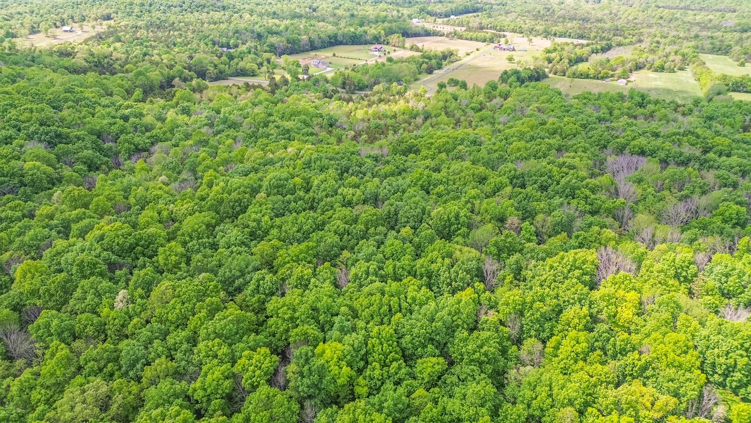 0 Walkup Road Readyville, TN 37149 - Photo 1 of 26 Gallery Image 1