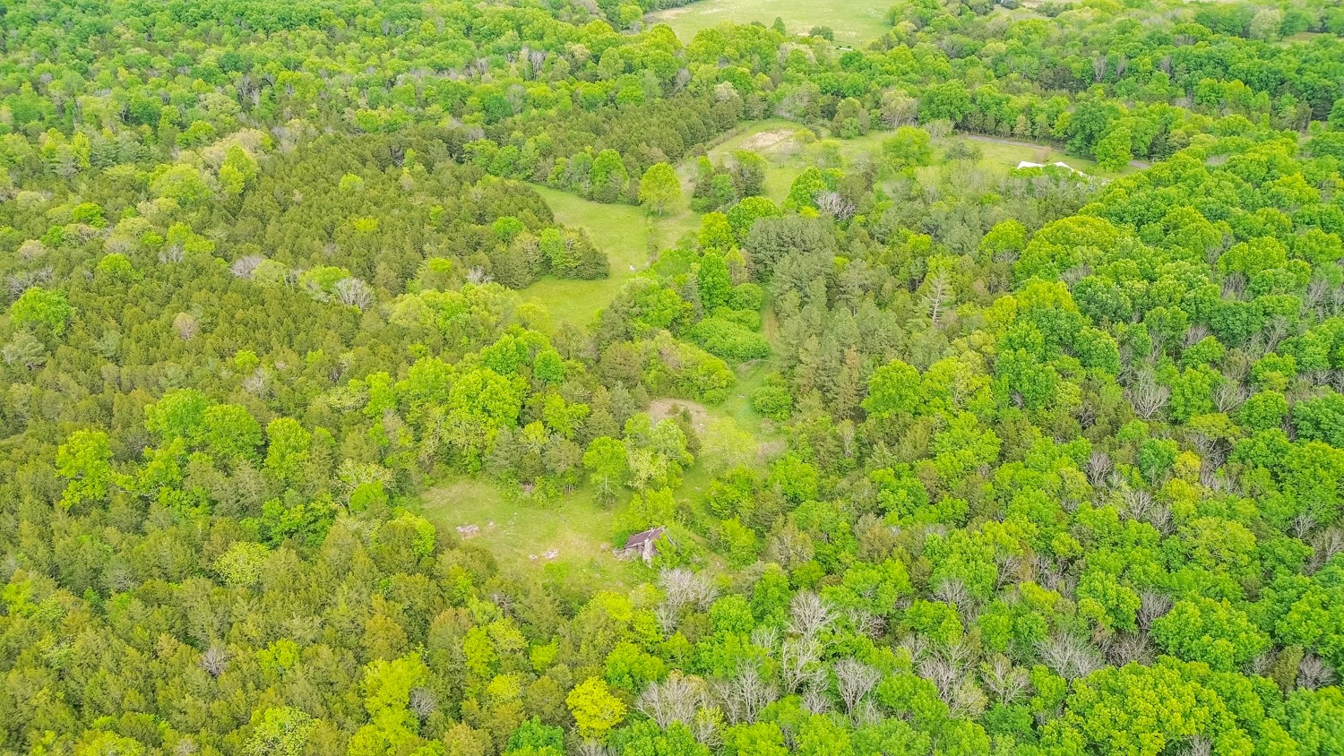 0 Walkup Road Readyville, TN 37149 - Photo 12 of 26 Gallery Image 12