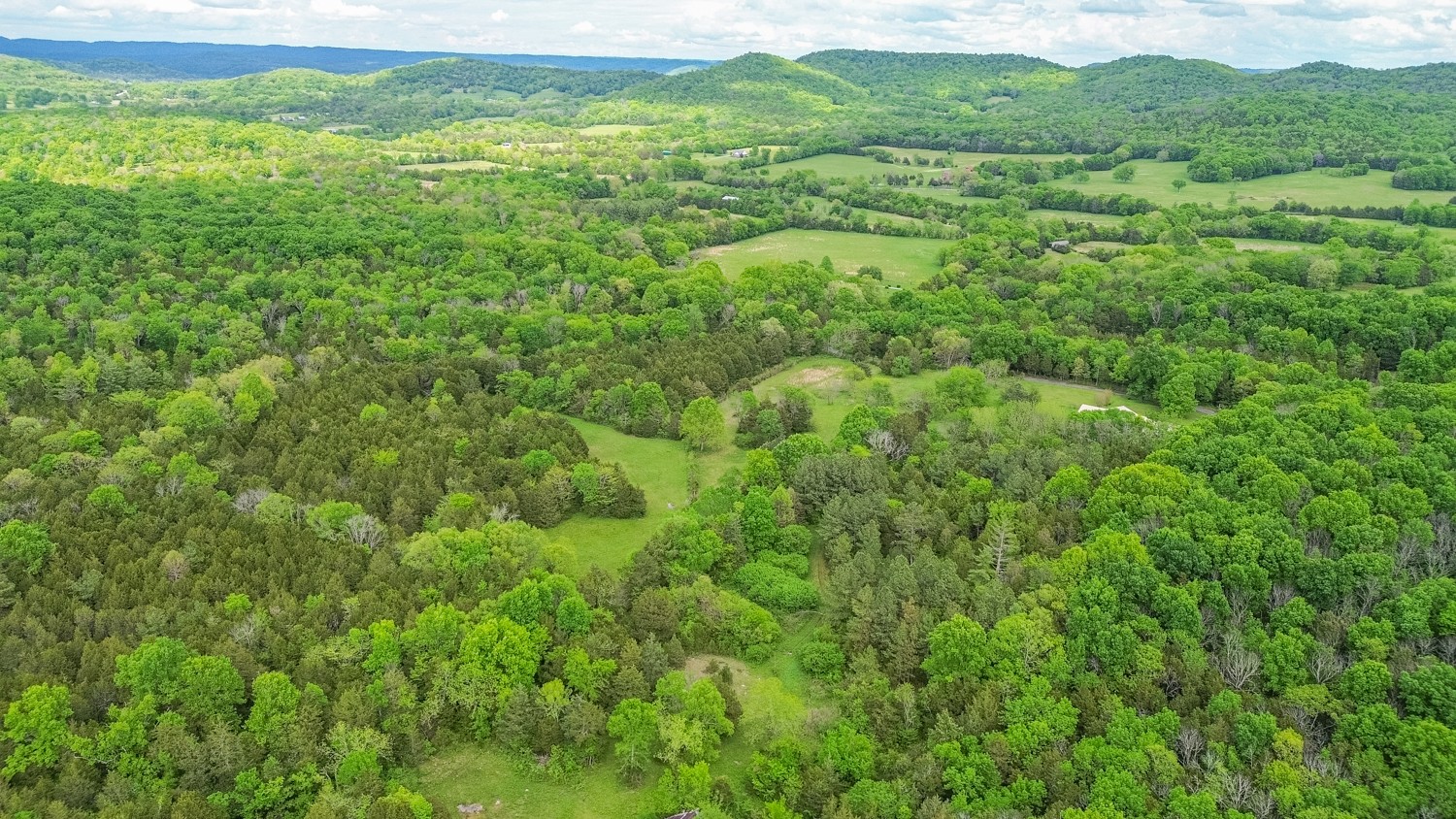 0 Walkup Road Readyville, TN 37149 - Photo 13 of 26 Gallery Image 13