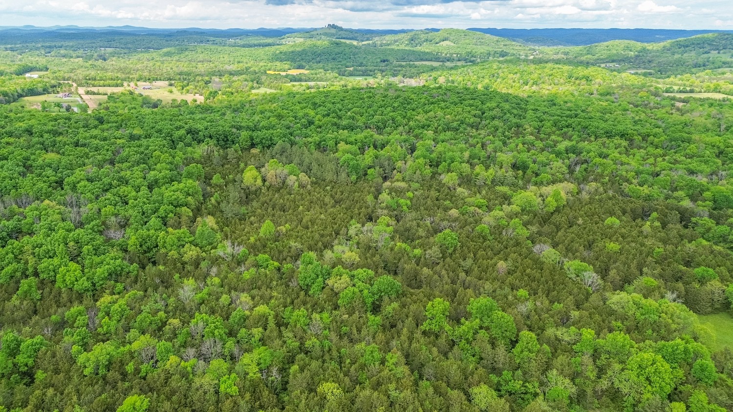 0 Walkup Road Readyville, TN 37149 - Photo 14 of 26 Gallery Image 14