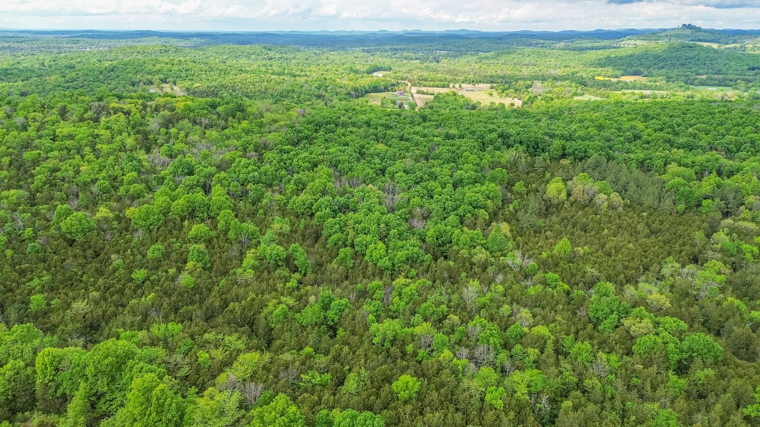 0 Walkup Road Readyville, TN 37149 - Photo 16 of 26 Gallery Image 16
