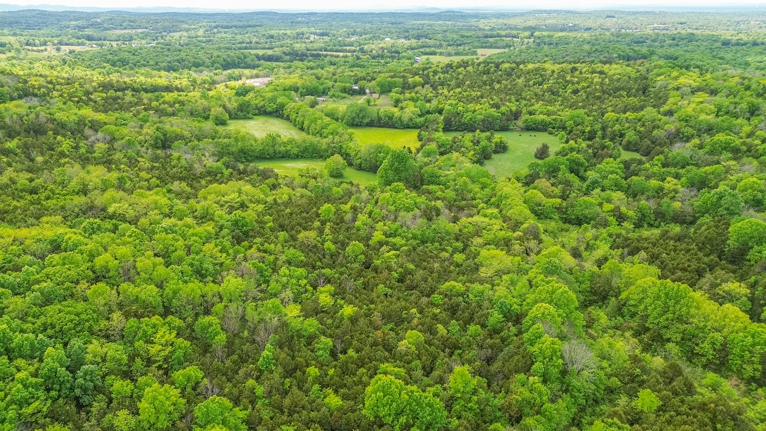 0 Walkup Road Readyville, TN 37149 - Photo 19 of 26 Gallery Image 19