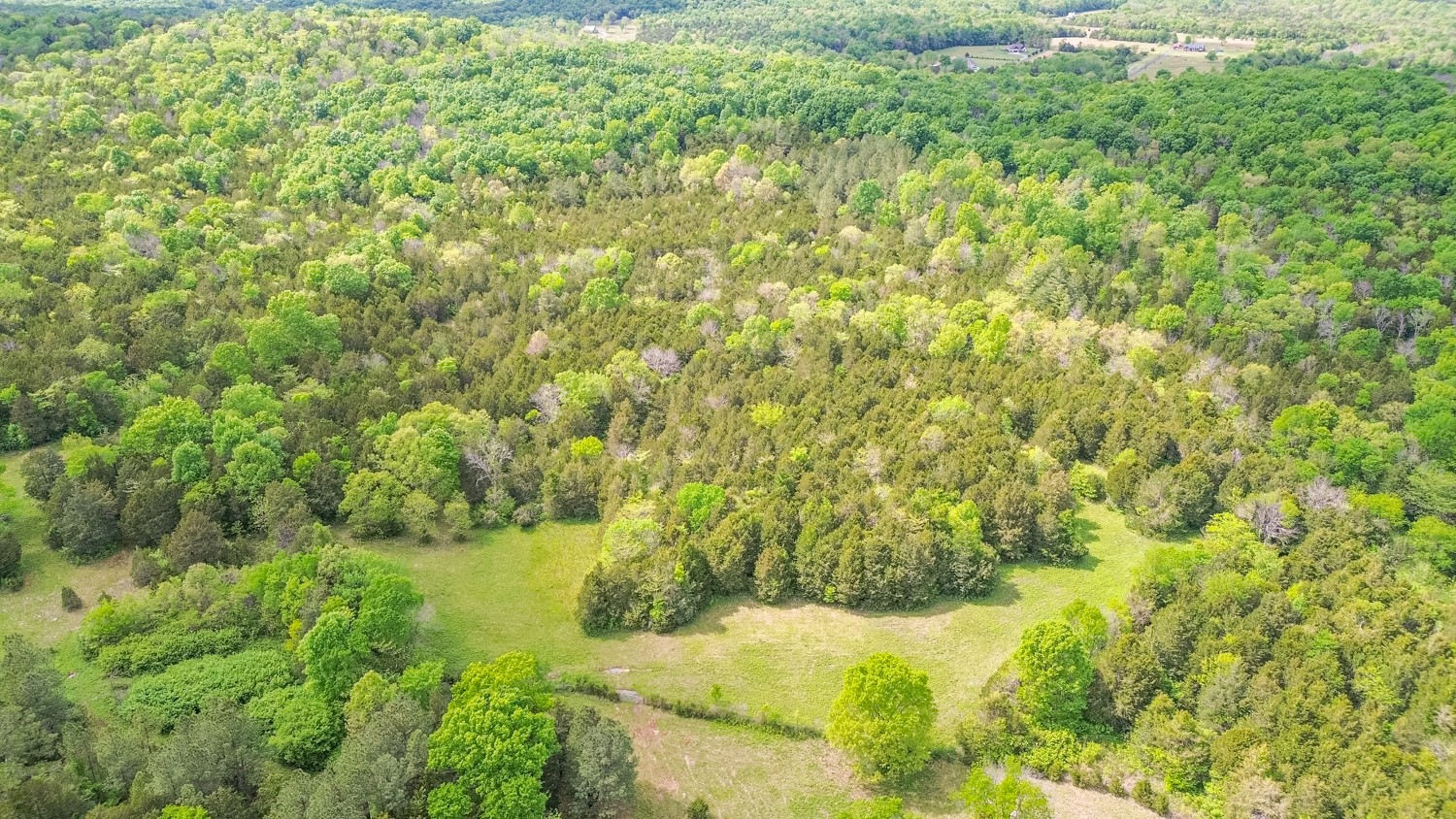 0 Walkup Road Readyville, TN 37149 - Photo 2 of 26 Gallery Image 2