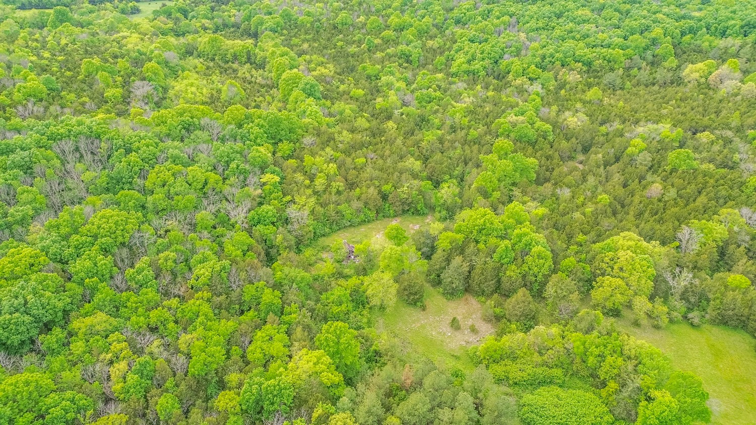 0 Walkup Road Readyville, TN 37149 - Photo 21 of 26 Gallery Image 21