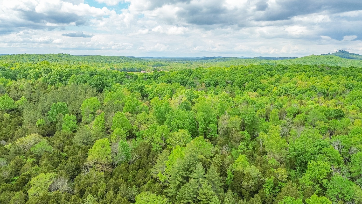 0 Walkup Road Readyville, TN 37149 - Photo 3 of 26 Gallery Image 3
