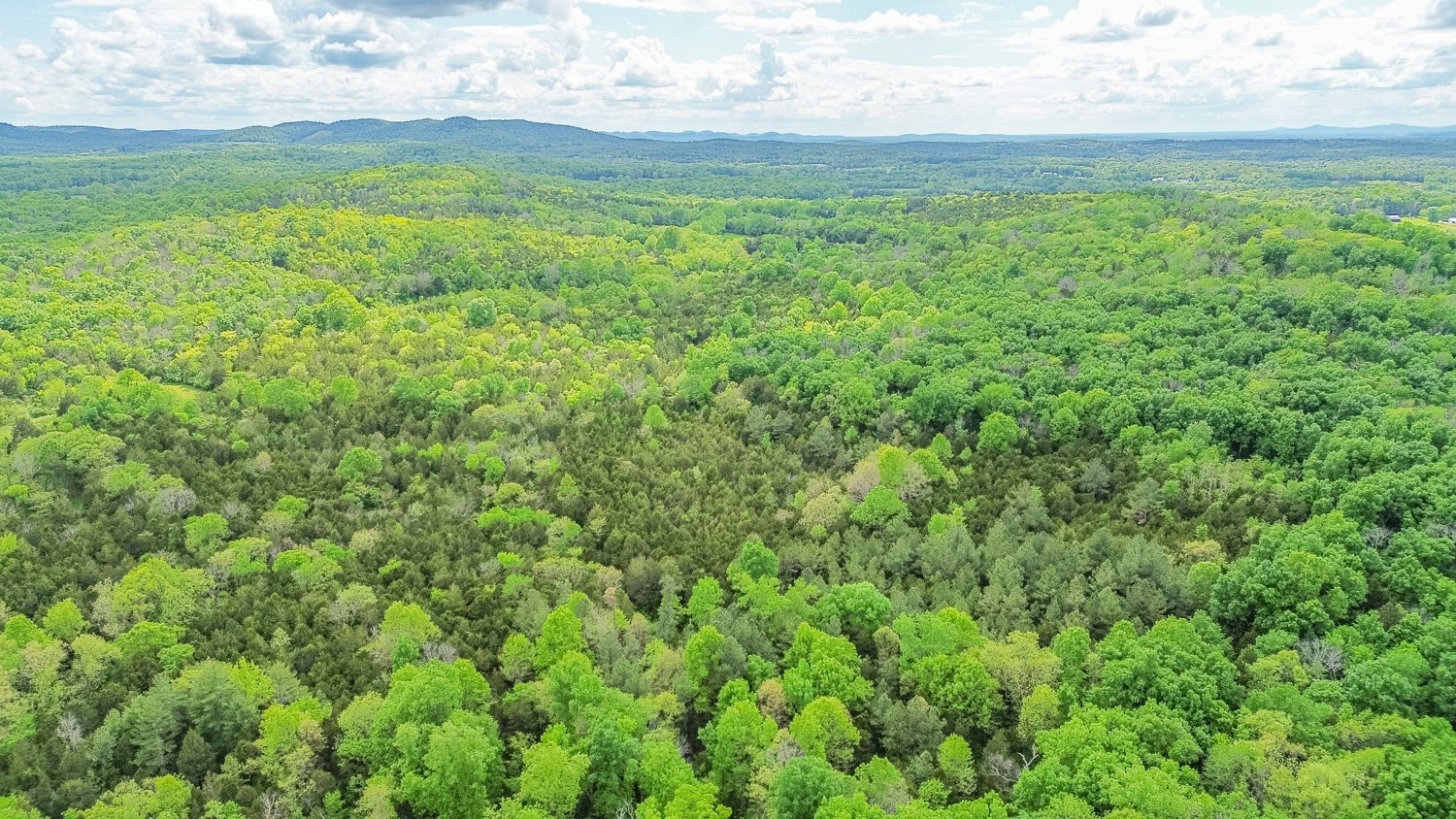 0 Walkup Road Readyville, TN 37149 - Photo 5 of 26 Gallery Image 5