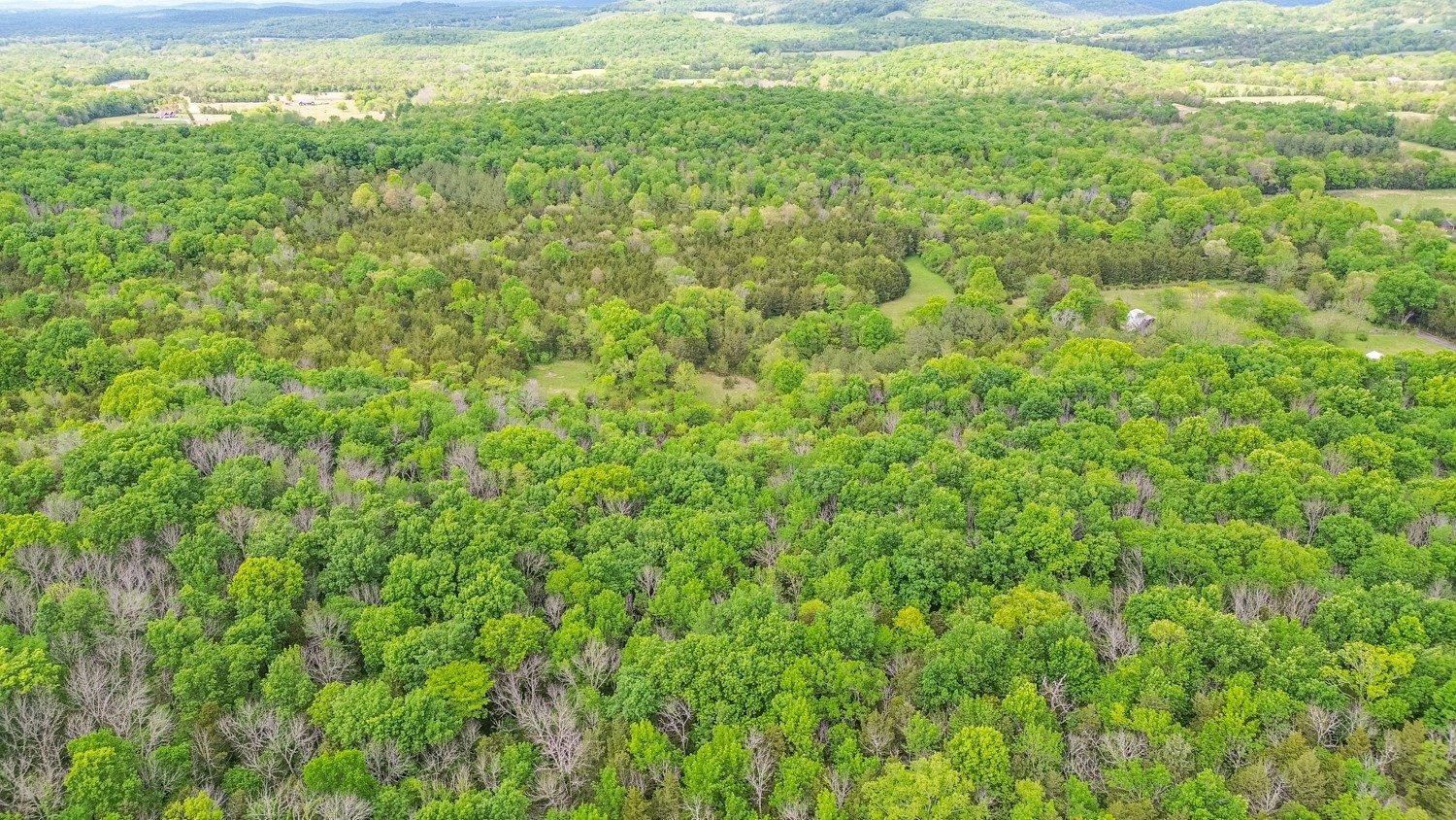 0 Walkup Road Readyville, TN 37149 - Photo 10 of 26 Gallery Image 10