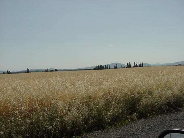 Xx Mason Rd Parcel, Unit 3 Deer Park, WA 99006 - Photo 1 of 4