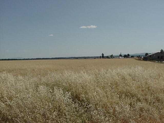 Xx Mason Rd Parcel, Unit 3 Deer Park, WA 99006 - Photo 4 of 4