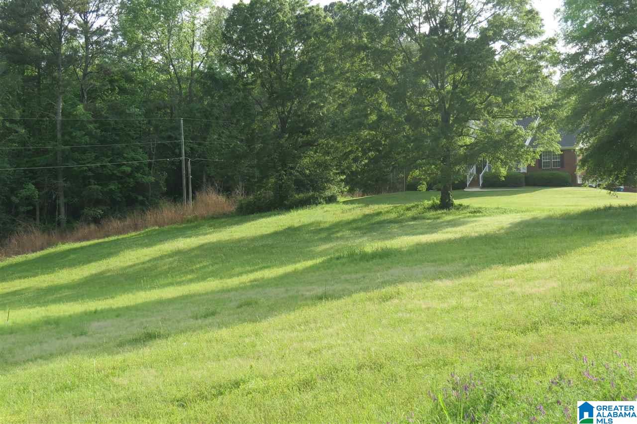 7178 Cavern Road Trussville, AL 35173 - Photo 45 of 45