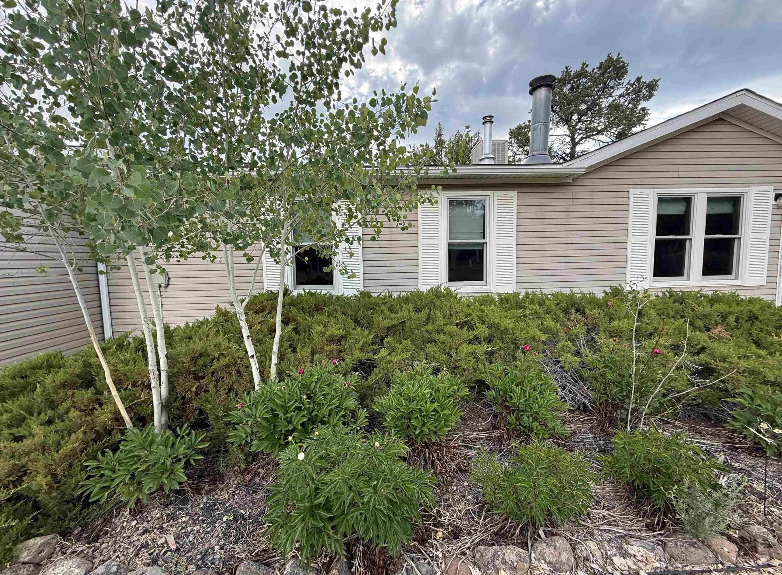 29501 P P 50 Road Hotchkiss, CO 81419 - Photo 31 of 33 a view of a house with a plants and a tree