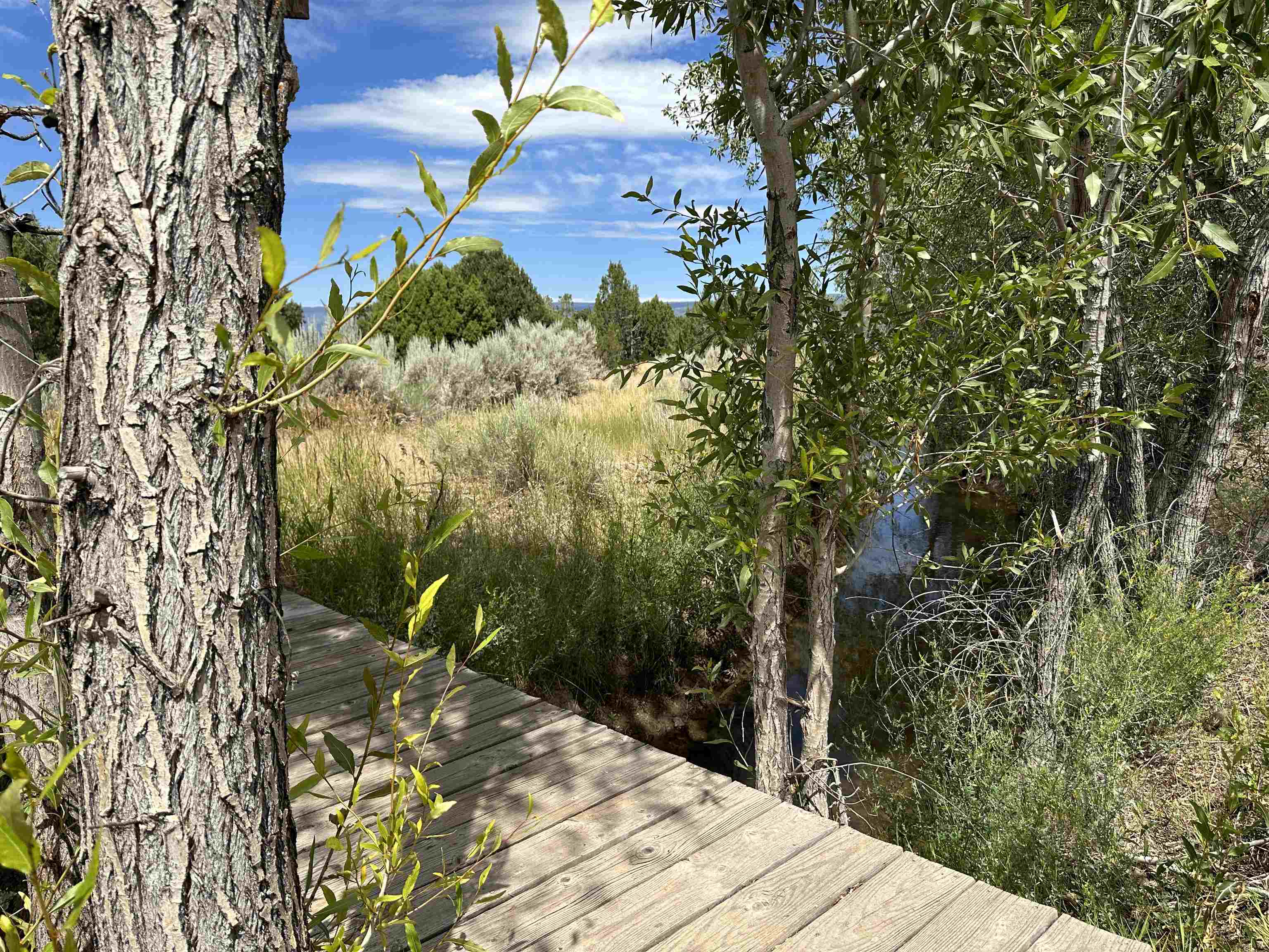 29501 P P 50 Road Hotchkiss, CO 81419 - Photo 6 of 33 a view of a backyard