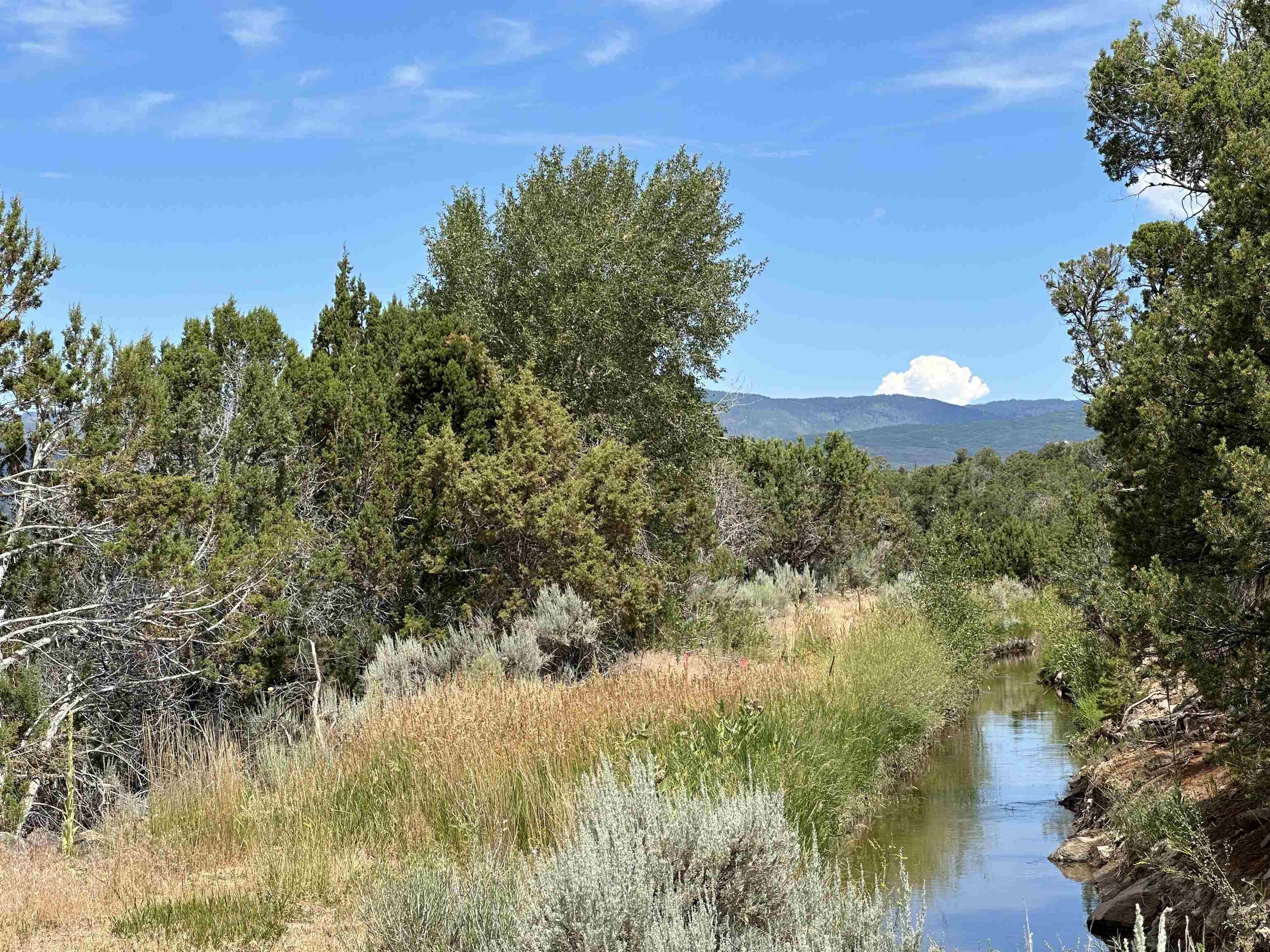 29501 P P 50 Road Hotchkiss, CO 81419 - Photo 7 of 33 a view of a lake and a yard