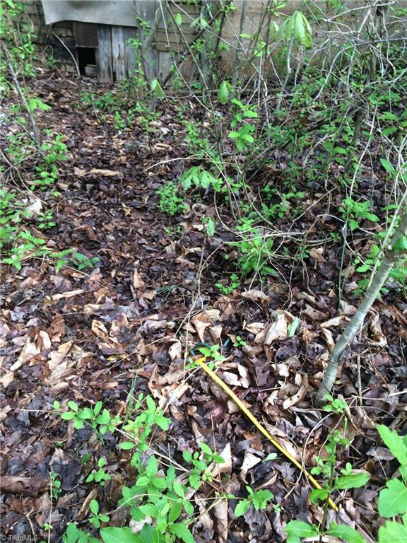 206 Whitaker Road Pinnacle, NC 27043 - Photo 20 of 24