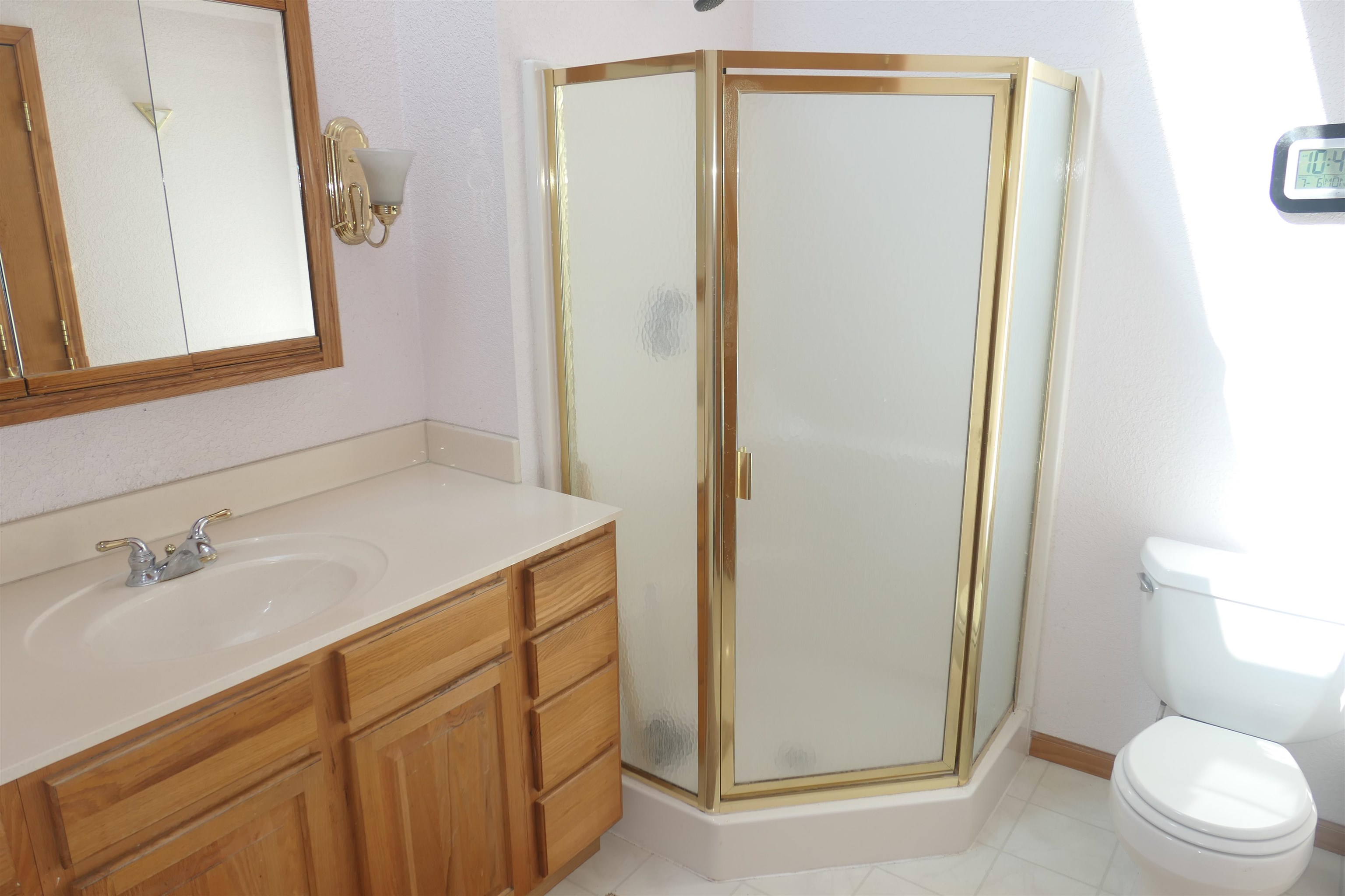 4769 Feather Trail Edmore, MI 48829 - Photo 27 of 53