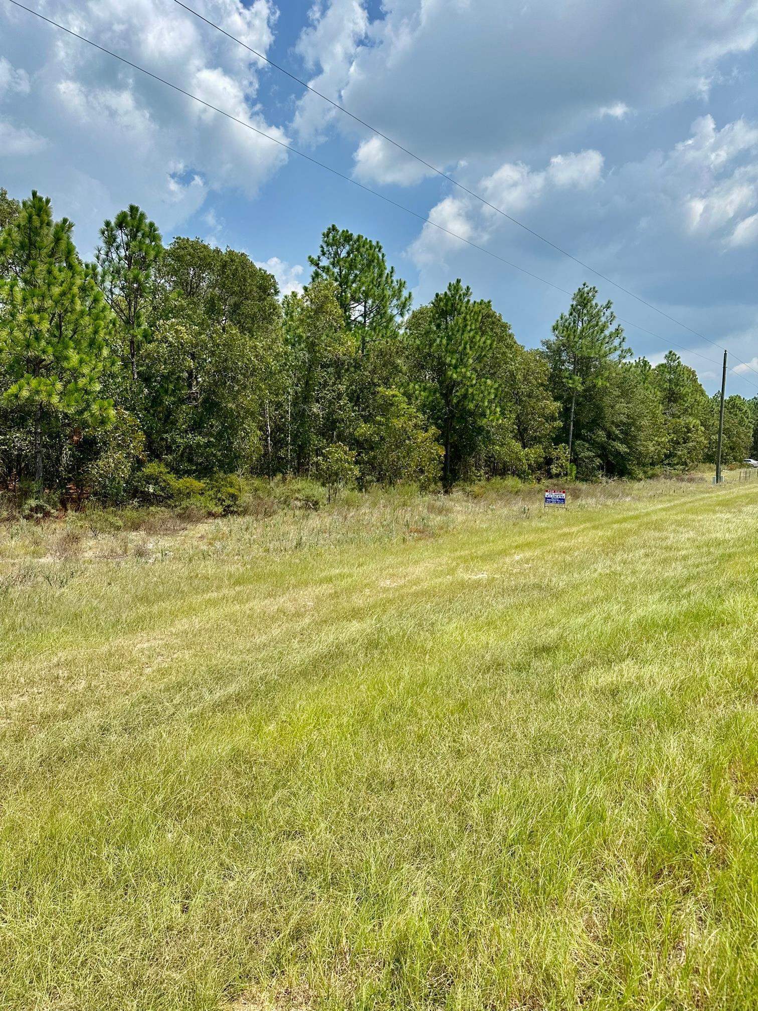 0 Highway 46 Metter, GA 30471 - Photo 2 of 5 a view of an ocean view